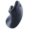 RATON GEMBIRD OPTICO ERGONOMICO 6 BOTONES NEGRO RF INALAMBRICO PILAS
