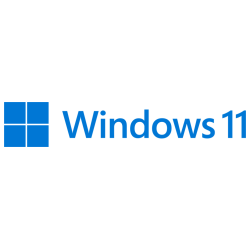 MS WINDOWS 11 PRO 64B DSP