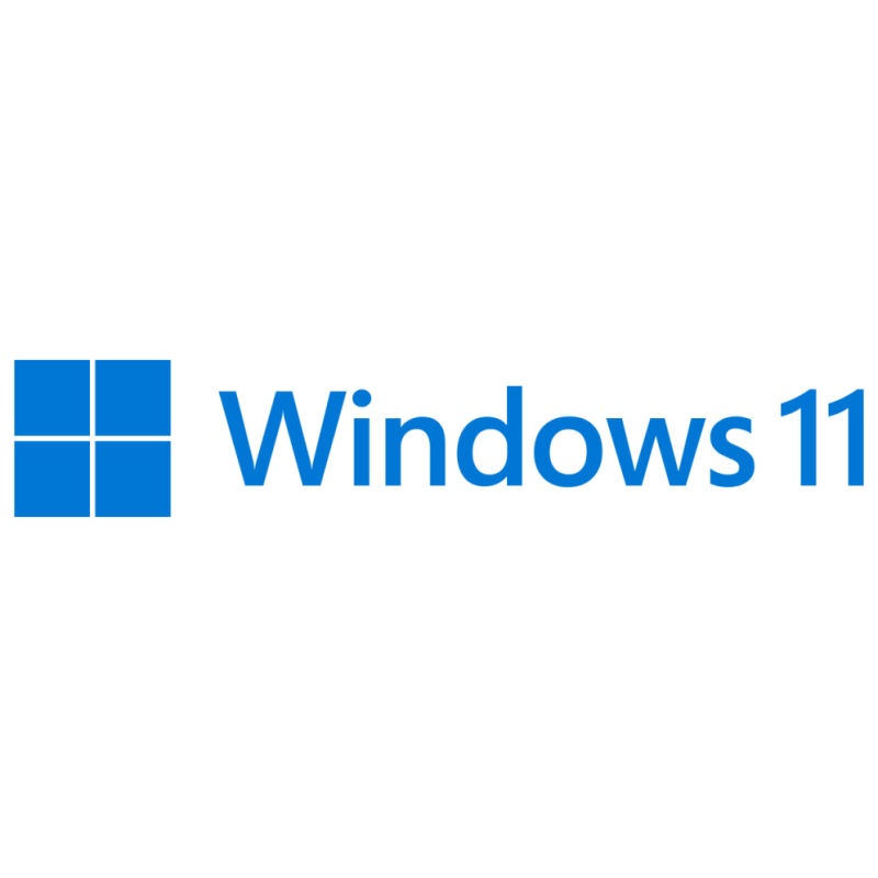 MS WINDOWS 11 PRO 64B DSP