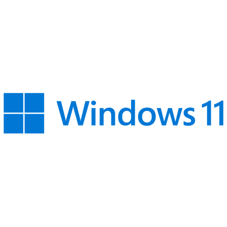 MS WINDOWS 11 PRO 64B DSP