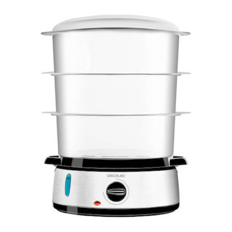 VAPORERA CECOTEC VAPOVITA 3000 INOX