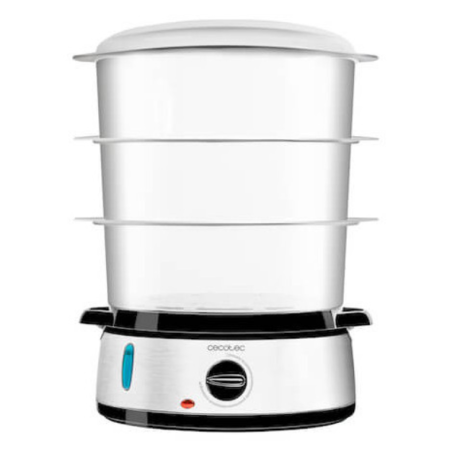 VAPORERA CECOTEC VAPOVITA 3000 INOX