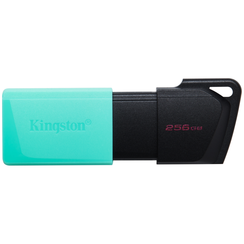 USB 32 KINGSTON 256GB DATATRAVELER EXODIA M NEGRO