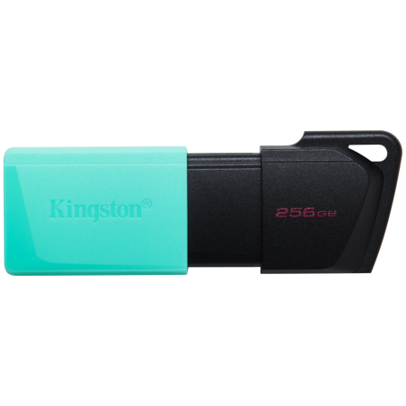 USB 32 KINGSTON 256GB DATATRAVELER EXODIA M NEGRO