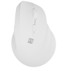 RATON NATEC CRAKE 2 VERTICAL DIESTRO DUAL 2400 DPI BLANCO BLUETOOTH PILAS