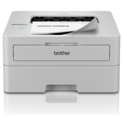IMPRESORA BROTHER HLL2865DW B N LASER