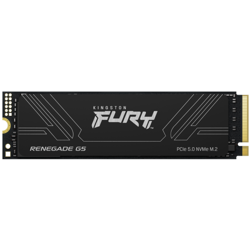 SSD KINGSTON FURY 1TB RENEGADE G5