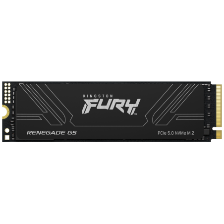 SSD KINGSTON FURY 1TB RENEGADE G5