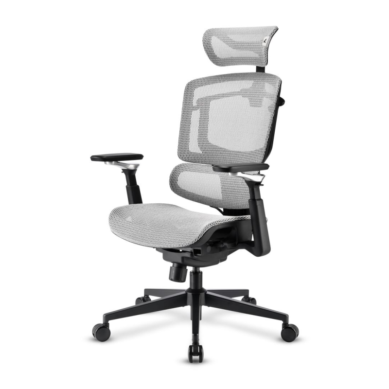 SILLA SHARKOON OFFICEPAL C50M NEGRA